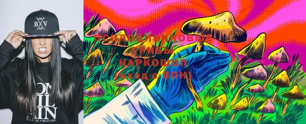 apvp Абинск
